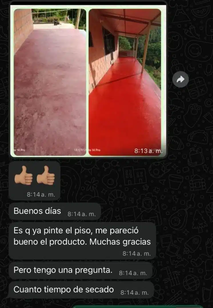 TEST PINTON WB 6_WEBP