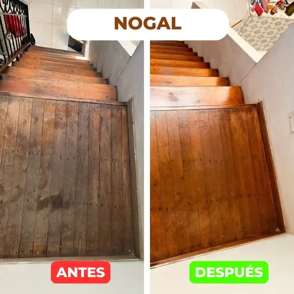 RD PINTON NOGAL_WEBP